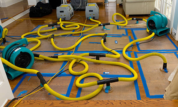 Professional Basement Flood Cleanup technician working in Windsor, SC